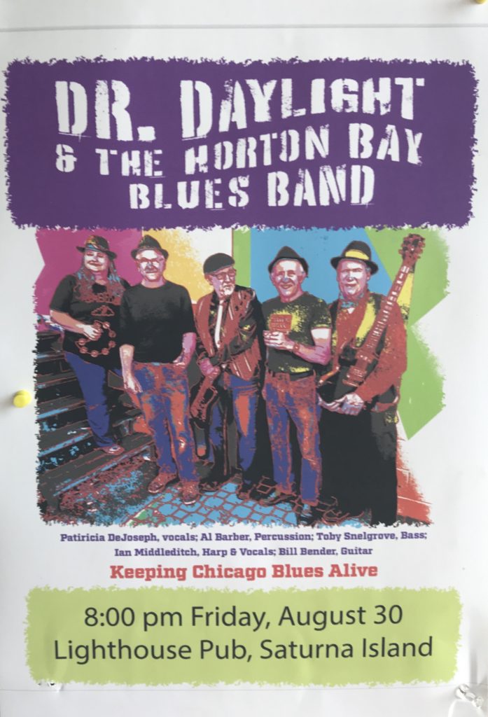 Dr. Daylight and the Horton Bay Blues Band!